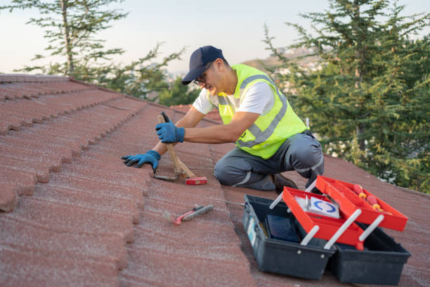 Best Roof Gutter Cleaning  in Cherryville, NC